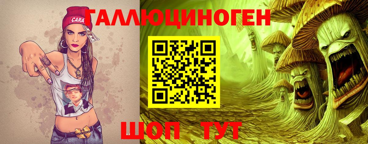 Новокубанск  Псилоцибиновые грибы Psilocybine cubensis  Вход с VPN 