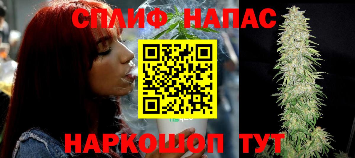 Канабис конопля Новокубанск